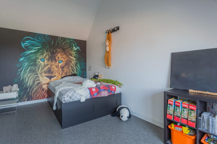 Foto 28 van Dotterbloempad 3