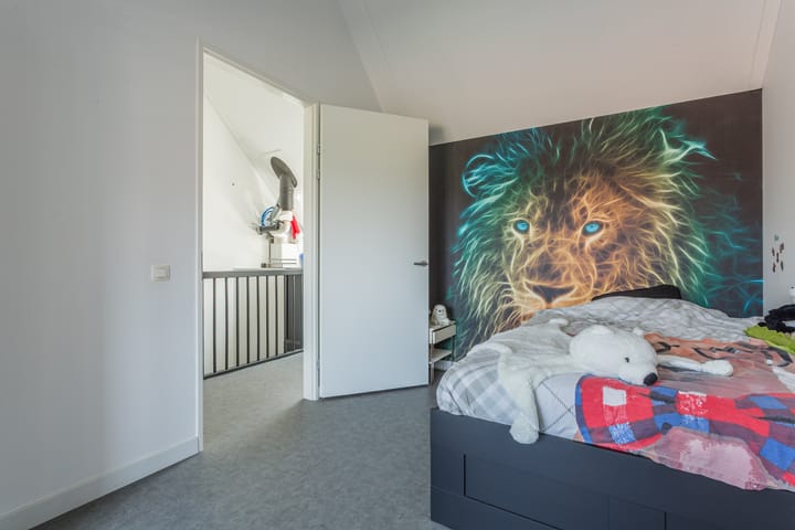 Foto 29 van Dotterbloempad 3