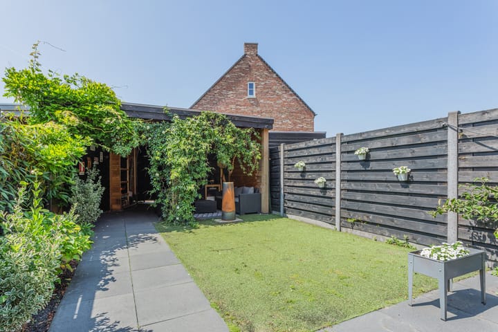 Foto 32 van Dotterbloempad 3