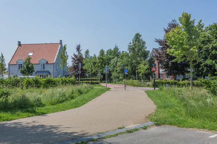 Foto 38 van Dotterbloempad 3