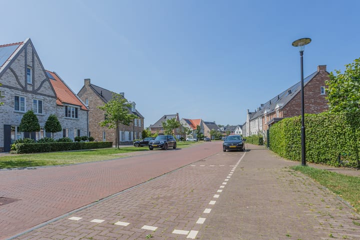 Foto 39 van Dotterbloempad 3