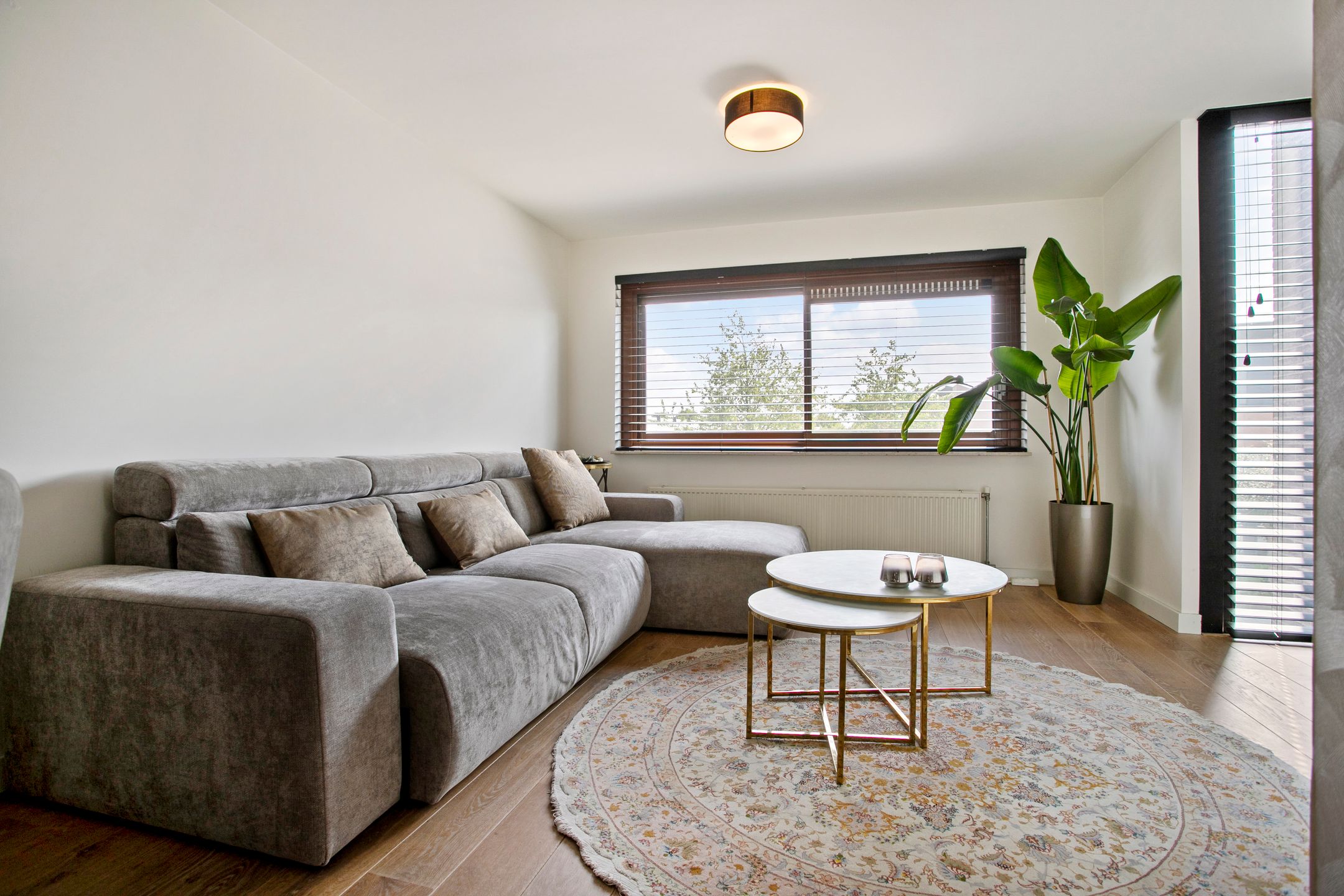 Foto 9 van Berenklauw 26