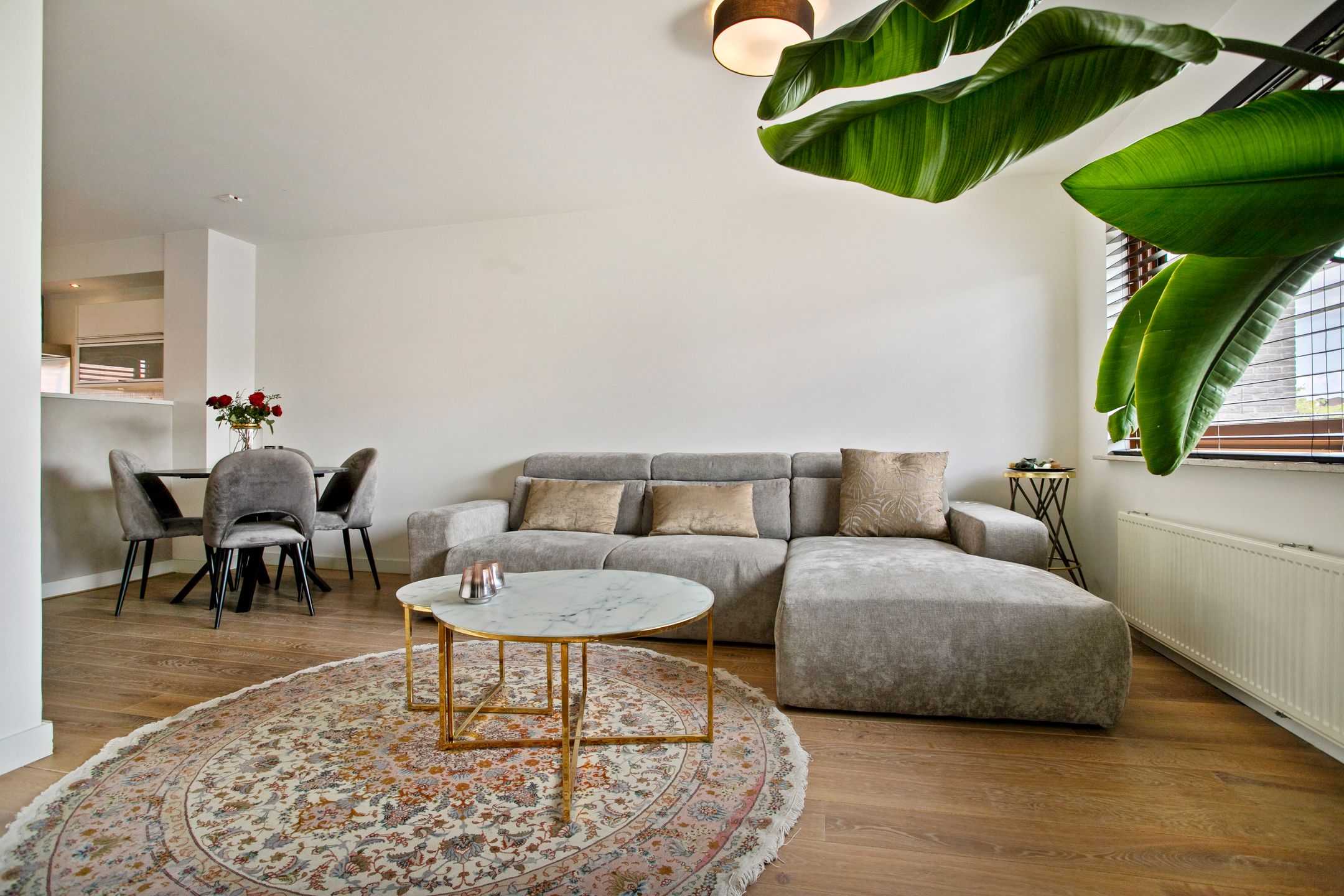 Foto 12 van Berenklauw 26