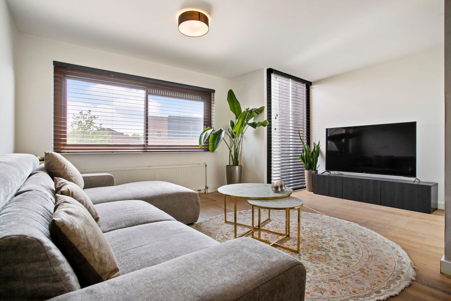 Foto 4 van Berenklauw 26