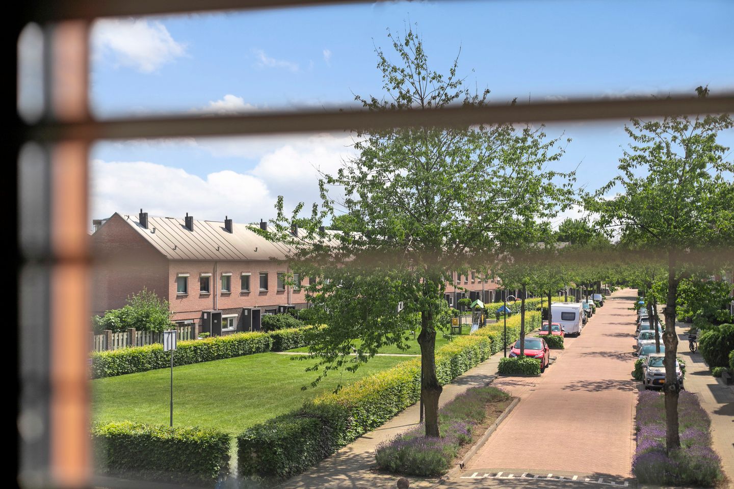 Foto 10 van Berenklauw 26