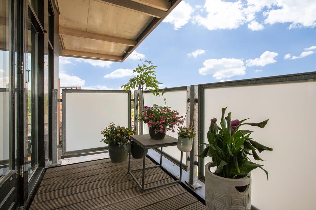 Foto 37 van Berenklauw 26