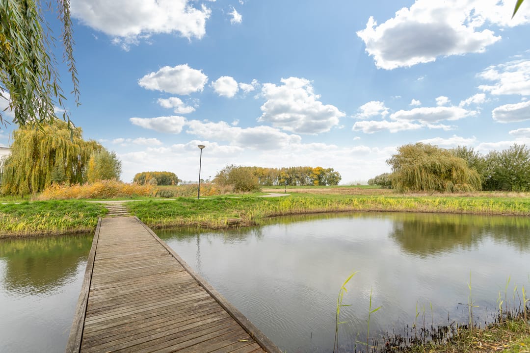 Foto 43 van Berenklauw 26