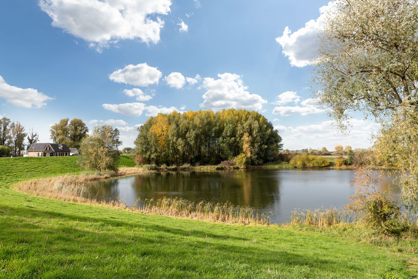 Foto 44 van Berenklauw 26