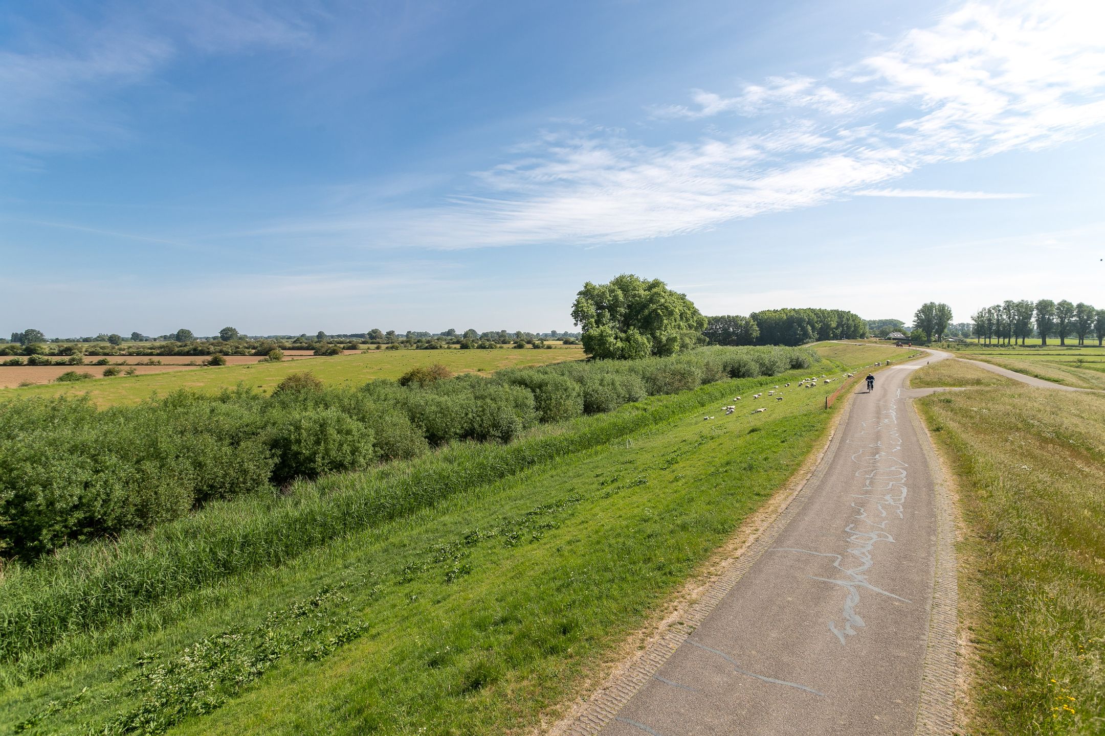 Foto 45 van Berenklauw 26