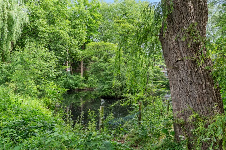 Foto 5 van Nolensstraat 2