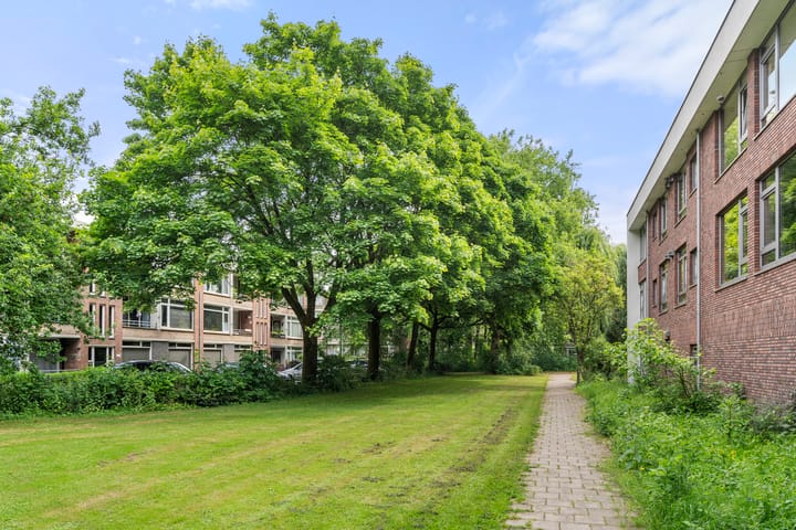 Foto 7 van Nolensstraat 2