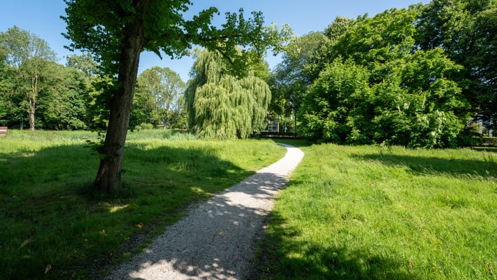 Foto 47 van Nieuweroord 58