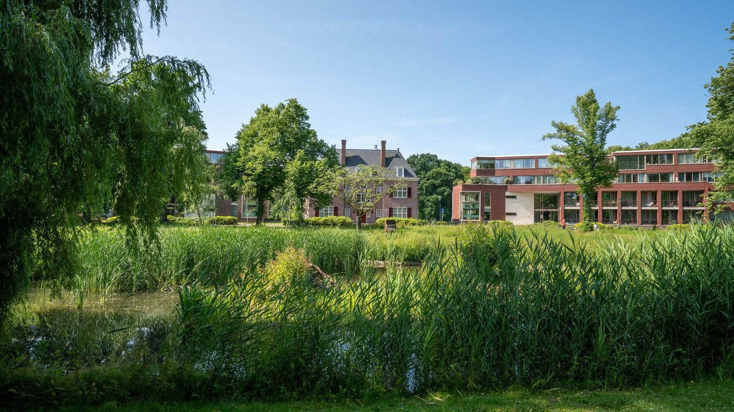 Foto 49 van Nieuweroord 58