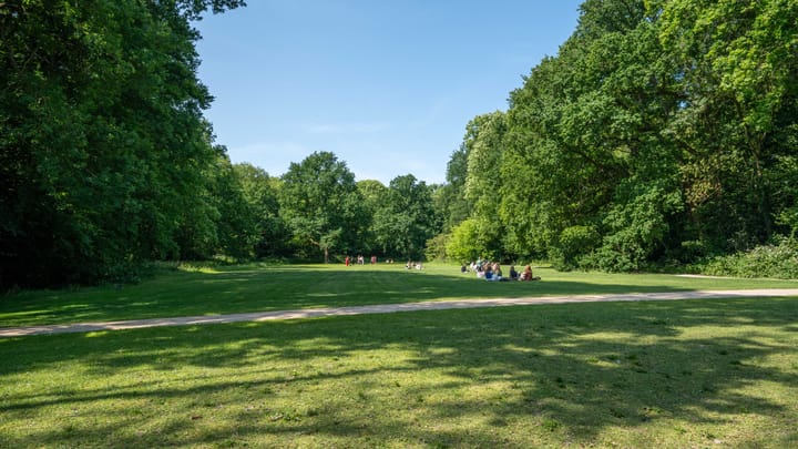 Foto 53 van Nieuweroord 58