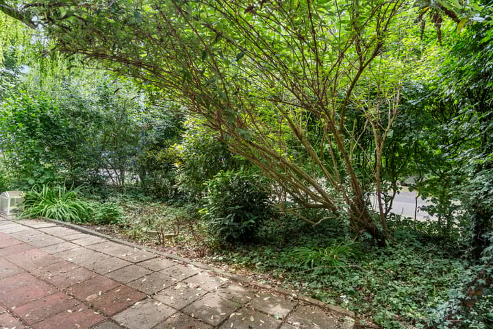 Foto 20 van Nolensstraat 2