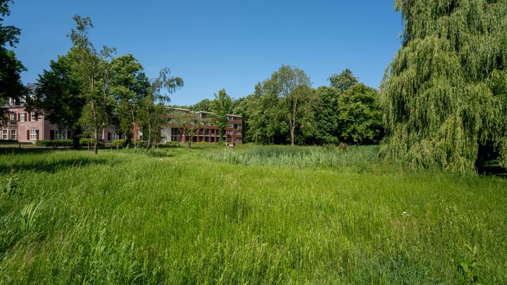 Foto 48 van Nieuweroord 58