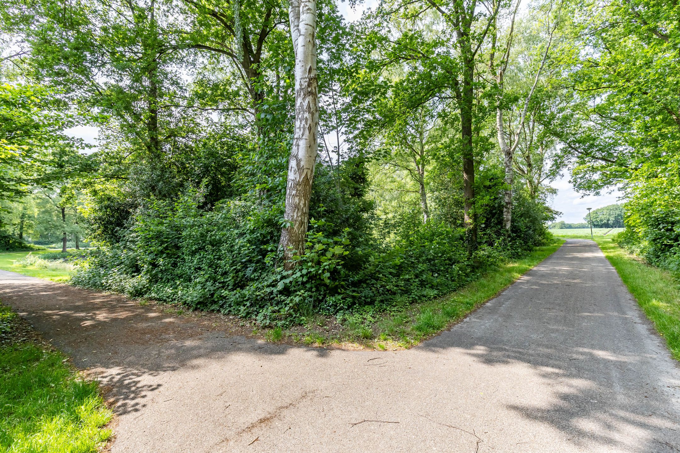 Foto 9 van Eltinge 41