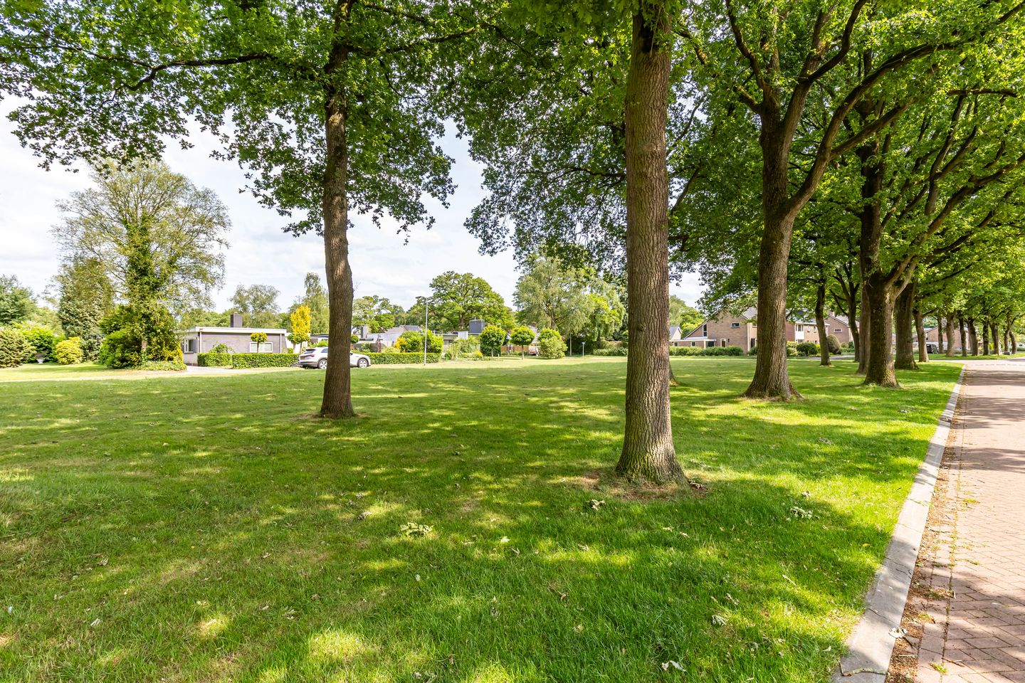 Foto 10 van Eltinge 41