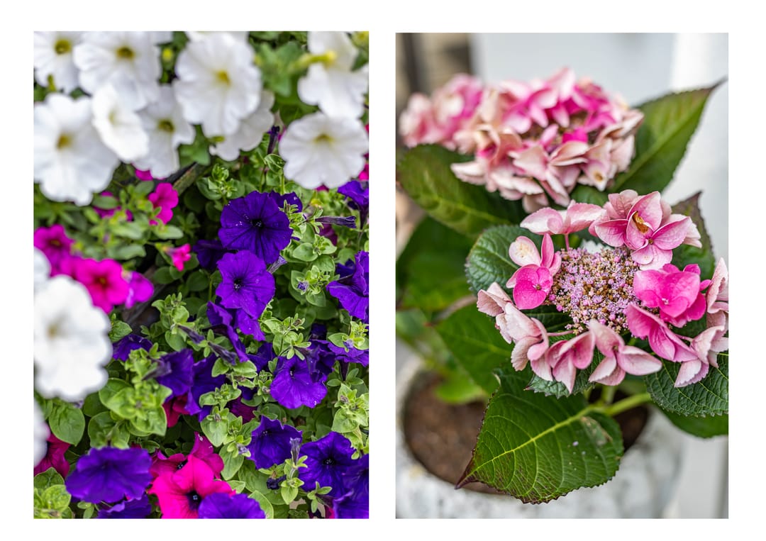 Foto 56 van Eltinge 41