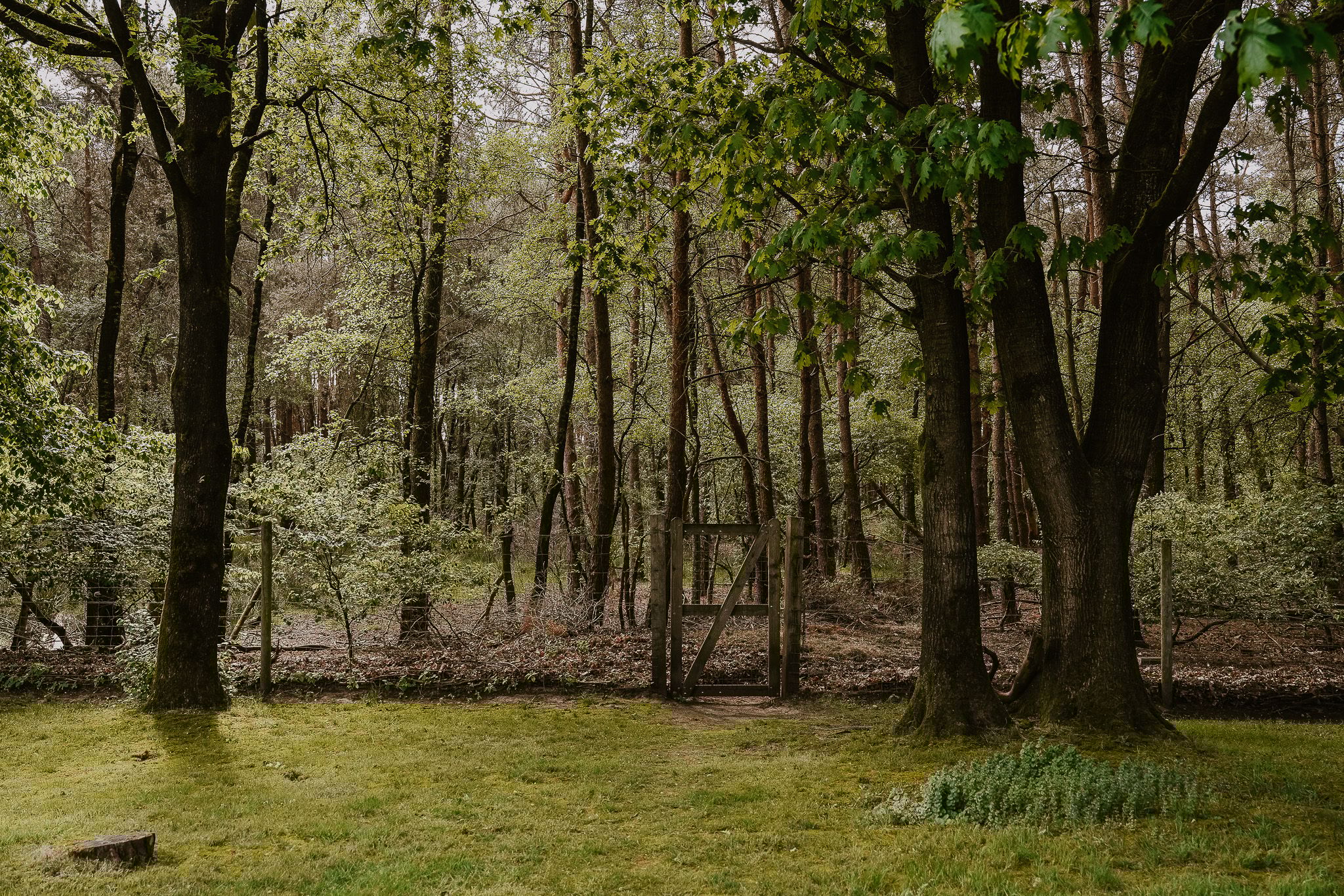 Foto 48 van Kootwijkerdijk 22