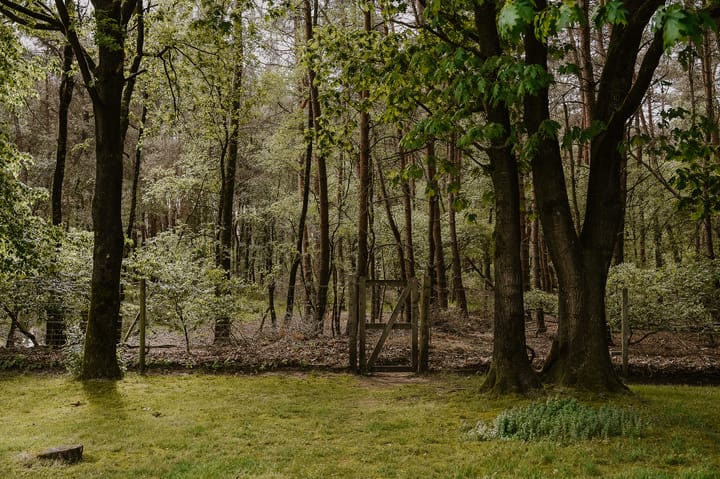 Foto 48 van Kootwijkerdijk 22