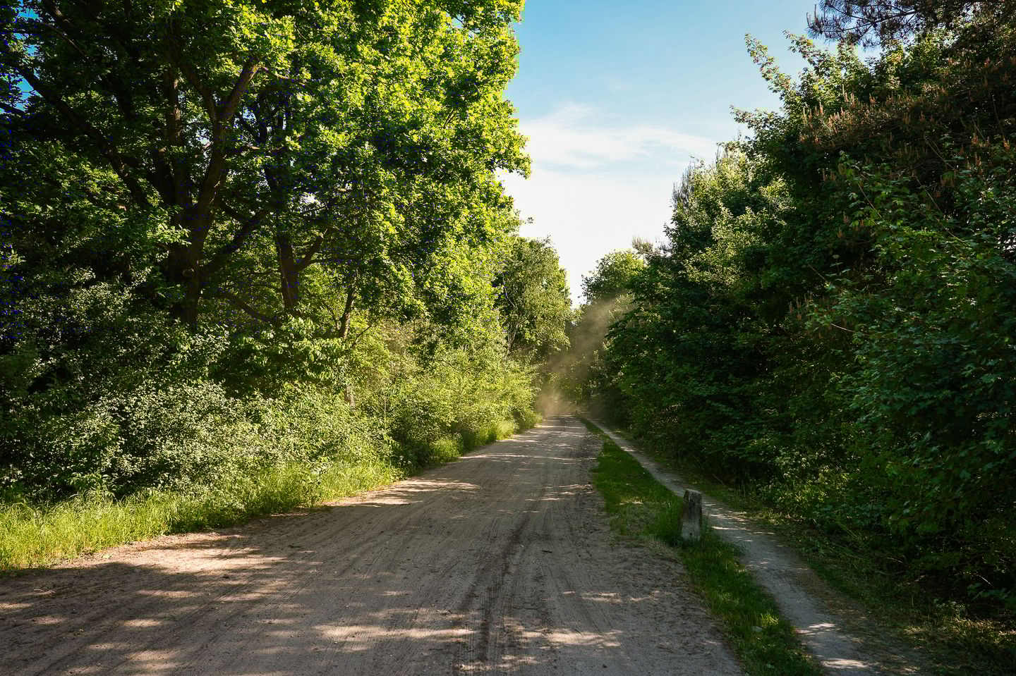 Foto 49 van Kootwijkerdijk 22