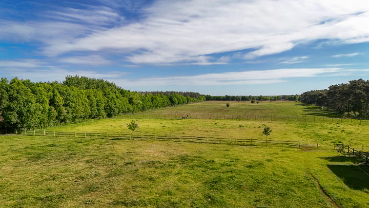 Foto 50 van Kootwijkerdijk 22