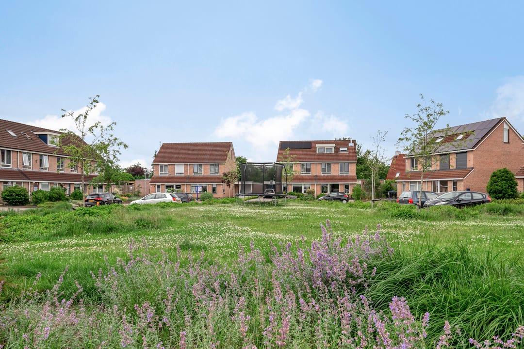 Foto 41 van Kamille 33