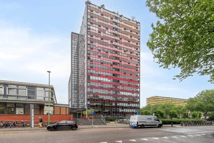 Foto 4 van Laan van Vollenhove 352