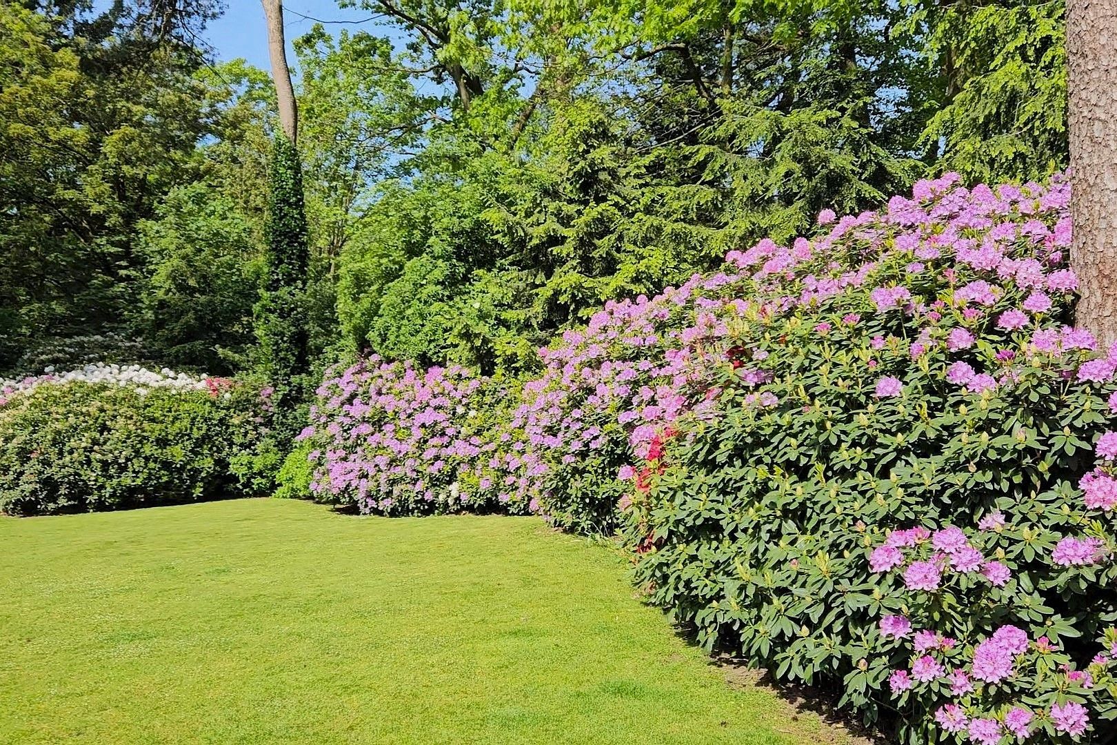 Foto 69 van Sonnevancklaan 24