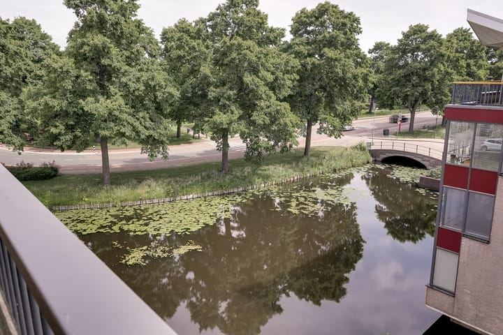 Foto 43 van Werengouw 34