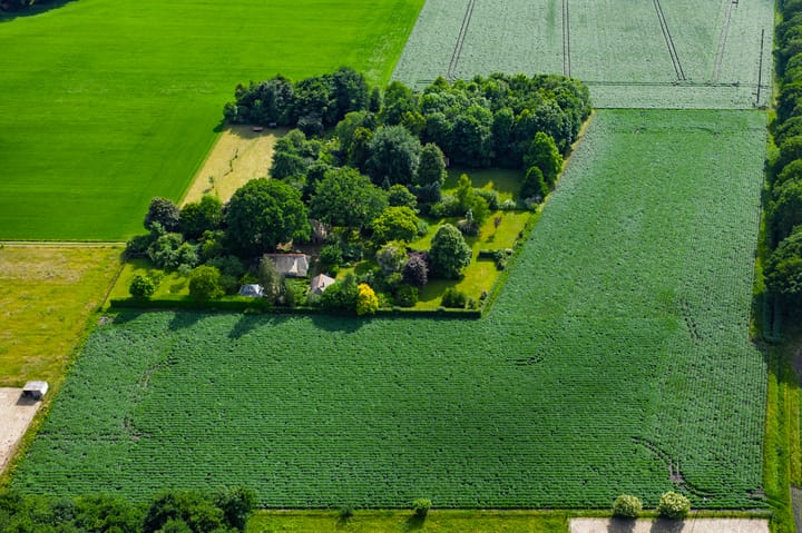 Foto 1 van 't Haantje 30