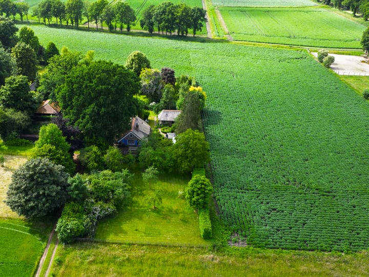 Foto 2 van 't Haantje 30