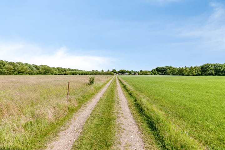 Foto 7 van 't Haantje 30