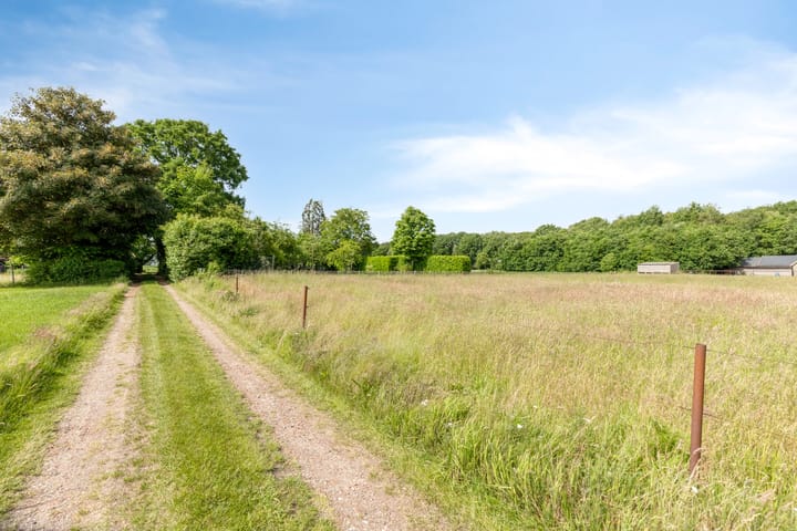 Foto 8 van 't Haantje 30