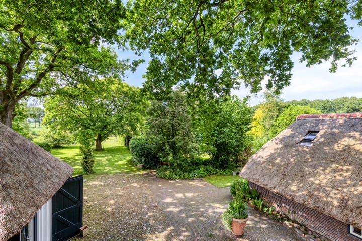 Foto 12 van 't Haantje 30