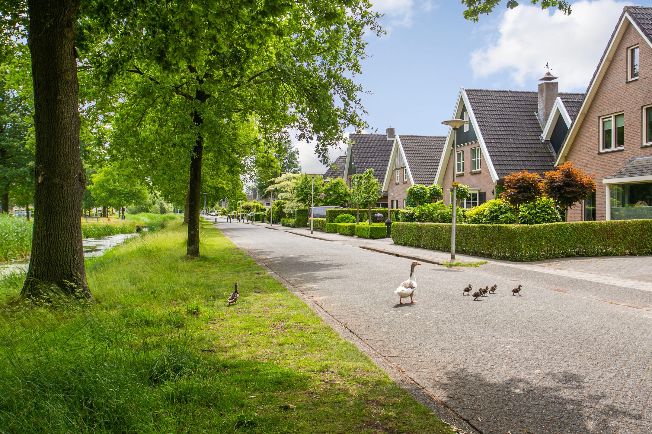 Photo 48 of Oxfordstraat 8