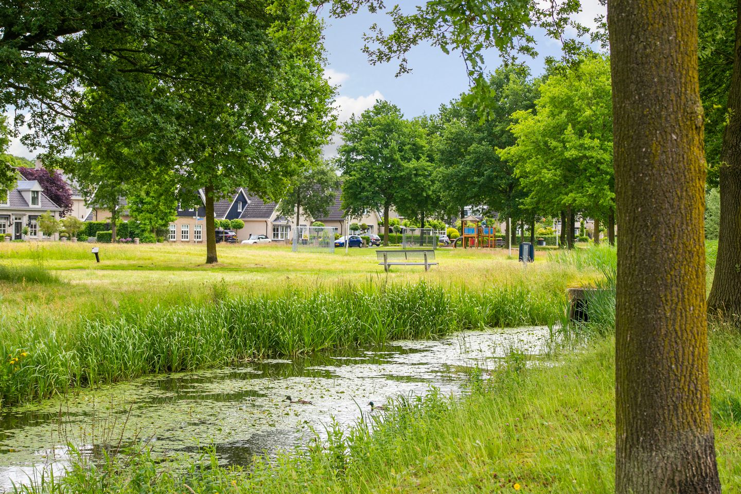 Photo 49 of Oxfordstraat 8