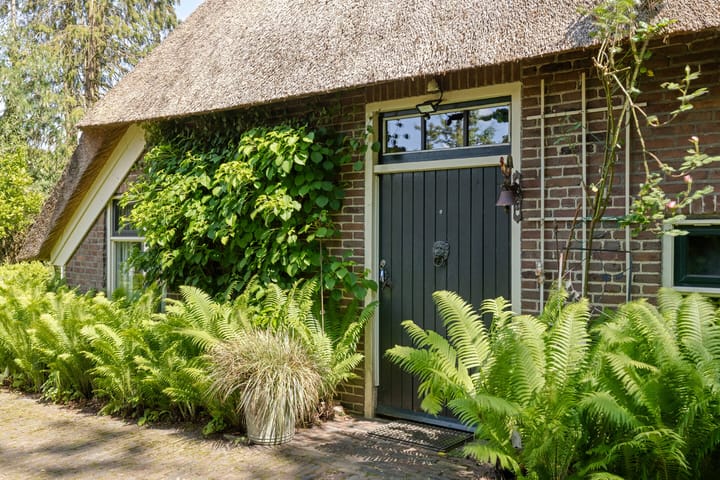 Foto 16 van 't Haantje 30