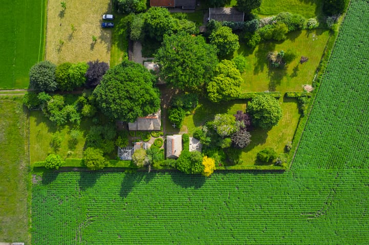 Foto 65 van 't Haantje 30