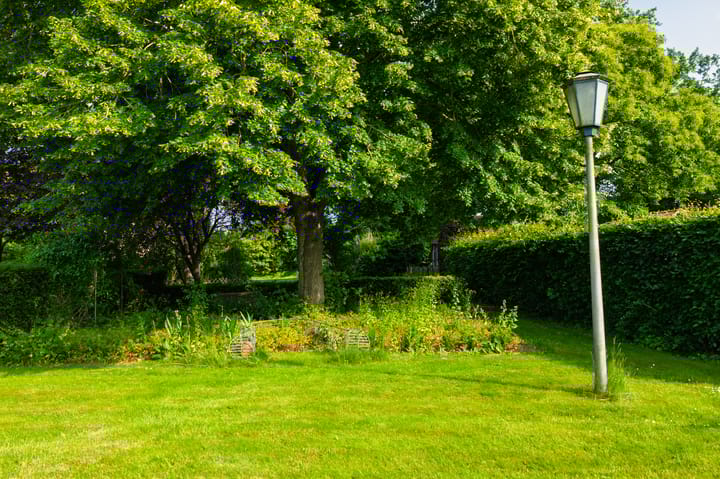 Foto 66 van 't Haantje 30