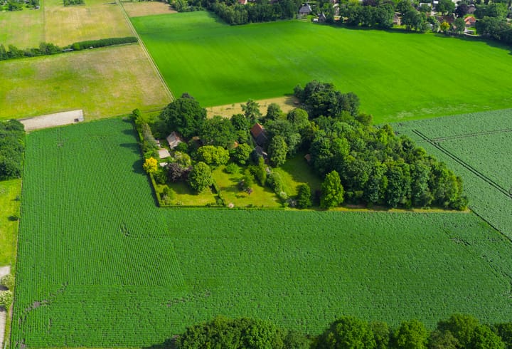 Foto 67 van 't Haantje 30