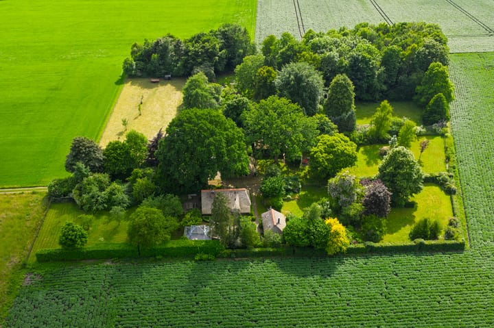 Foto 72 van 't Haantje 30