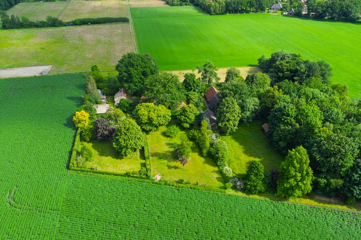 Foto 73 van 't Haantje 30