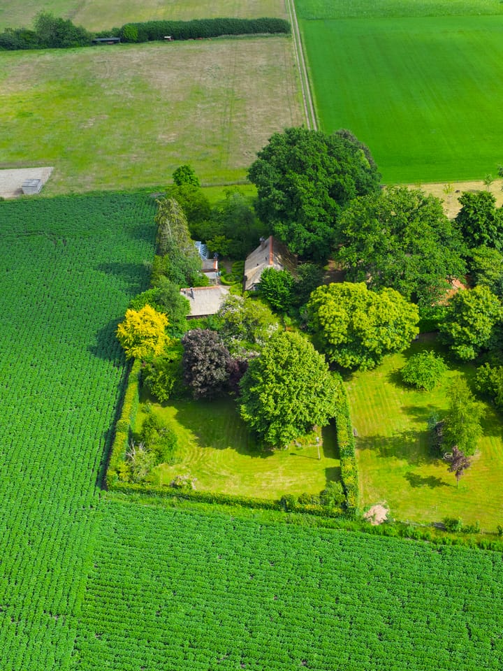 Foto 74 van 't Haantje 30