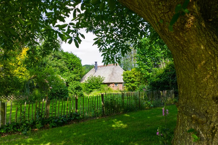 Foto 75 van 't Haantje 30