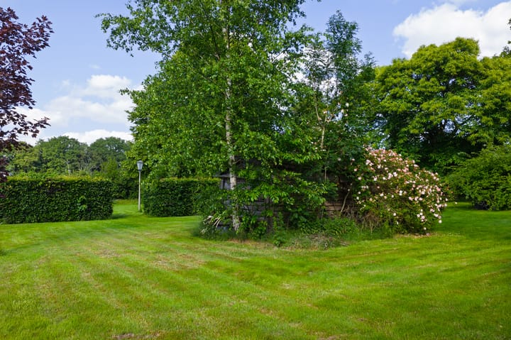 Foto 76 van 't Haantje 30