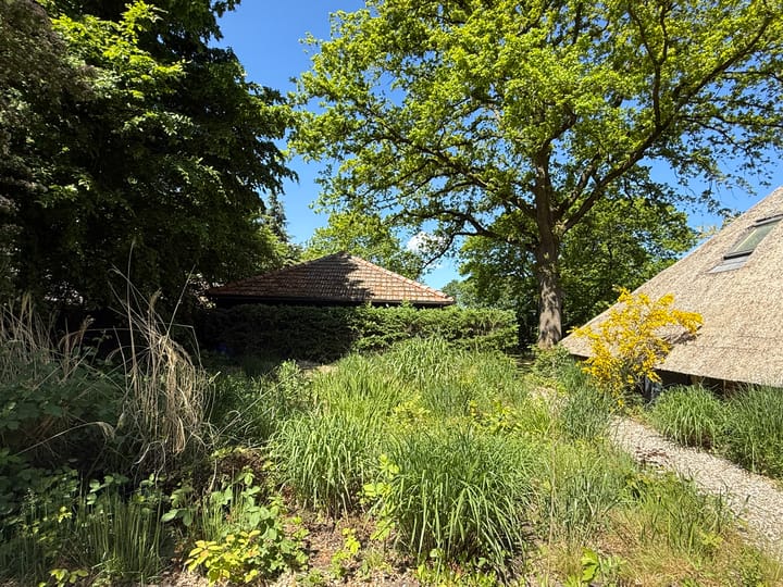 Foto 79 van 't Haantje 30