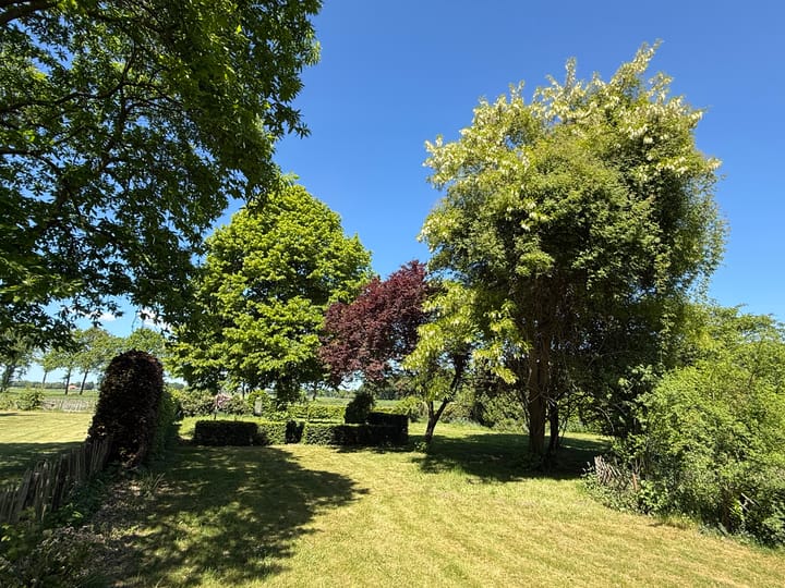 Foto 81 van 't Haantje 30