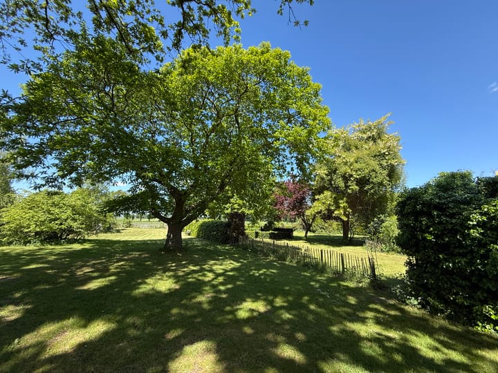 Foto 82 van 't Haantje 30